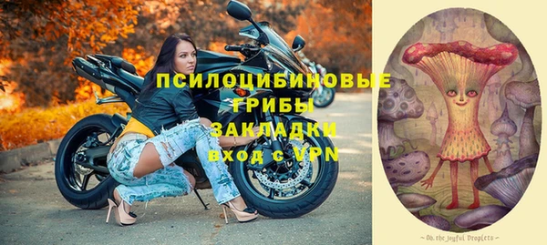 молекула духа Алексеевка