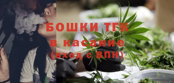 молекула духа Алексеевка