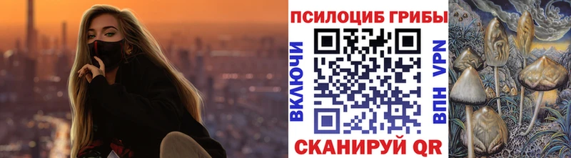 где купить   Туймазы  Галлюциногенные грибы Psilocybe 